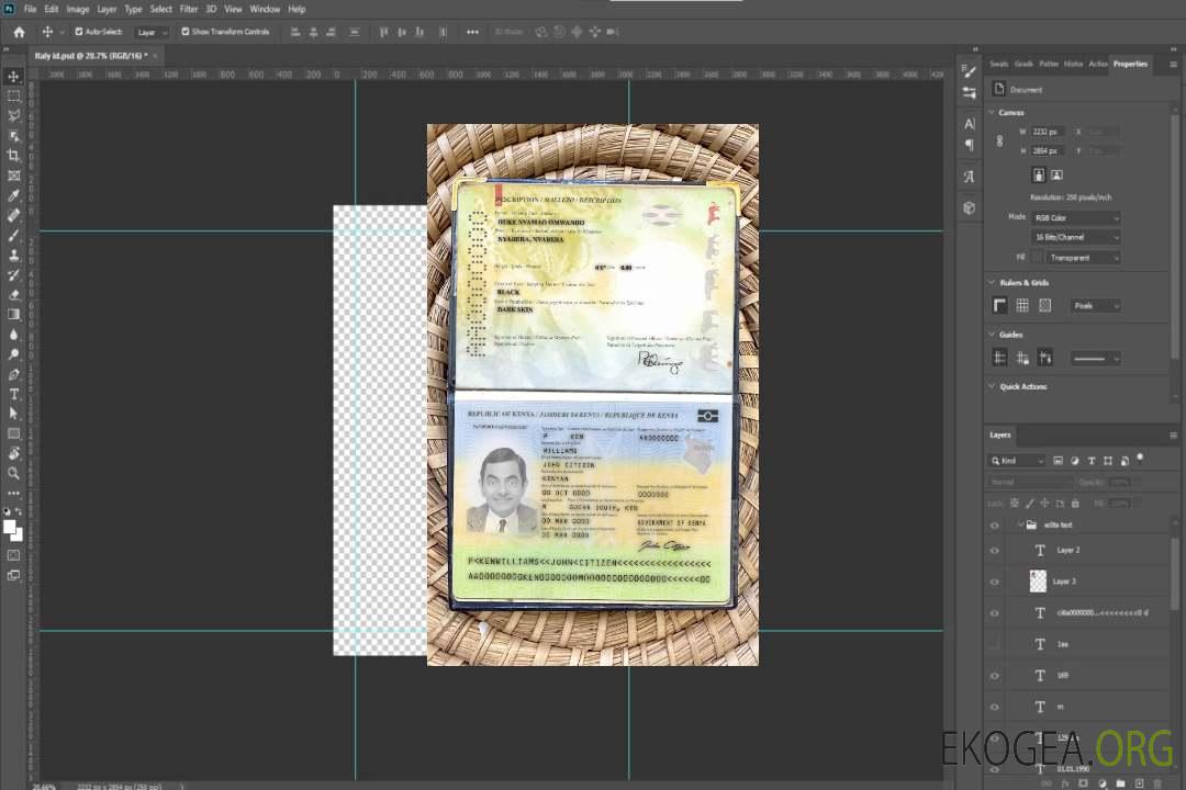 Aperçu de la photo du passeport du Kenya (2017-présent) template